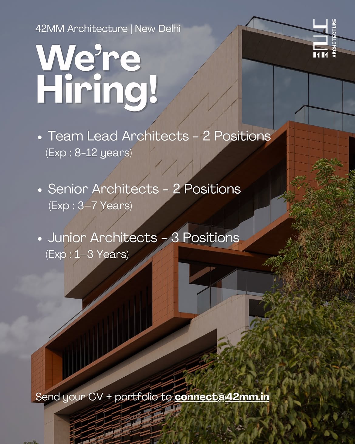 Team Lead Architect